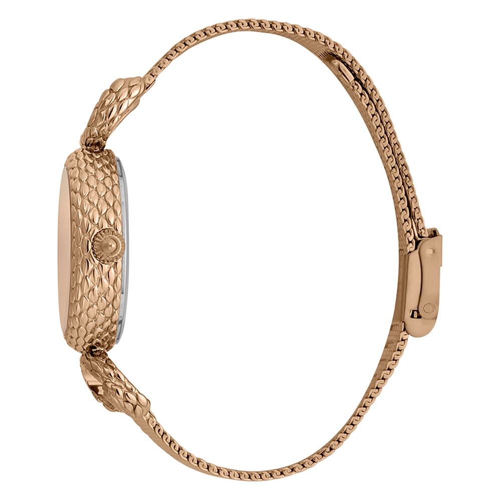 JUST CAVALLI ANIMALIER_630fe98152005.jpeg