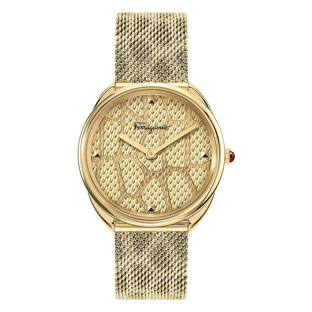 SALVATORE FERRAGAMO CUIR_630ff55572f50.jpeg