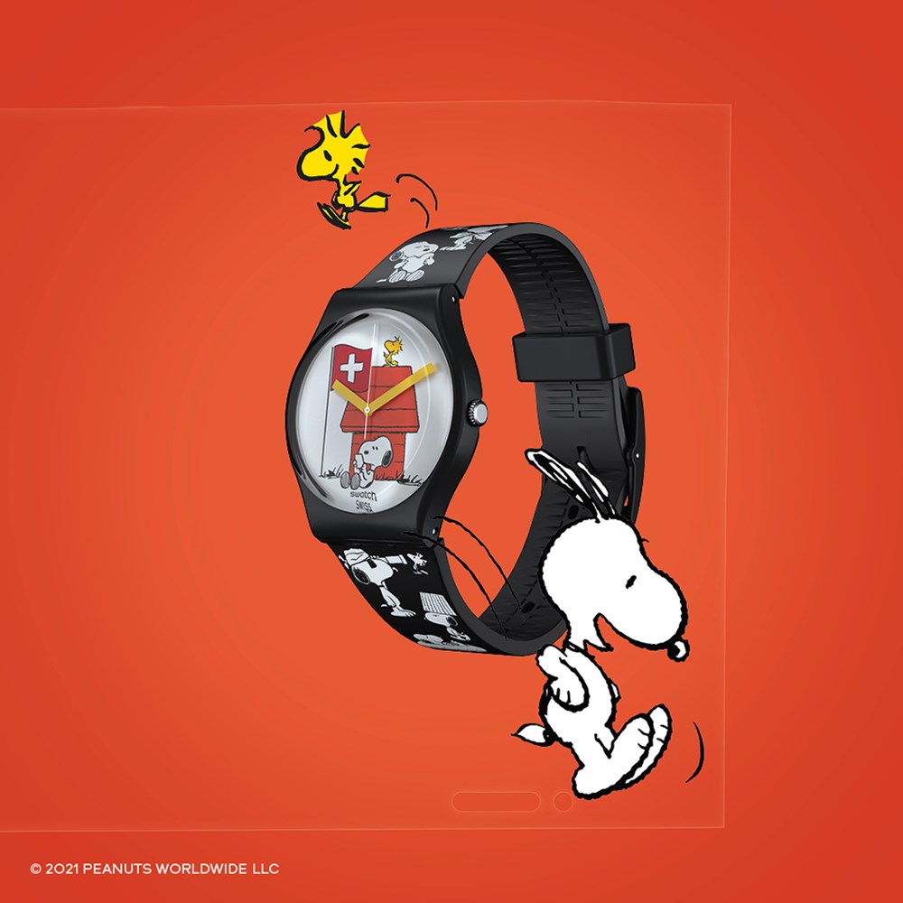 SWATCH GRANDE BRACCHETTO_630fe3176ab35.jpeg