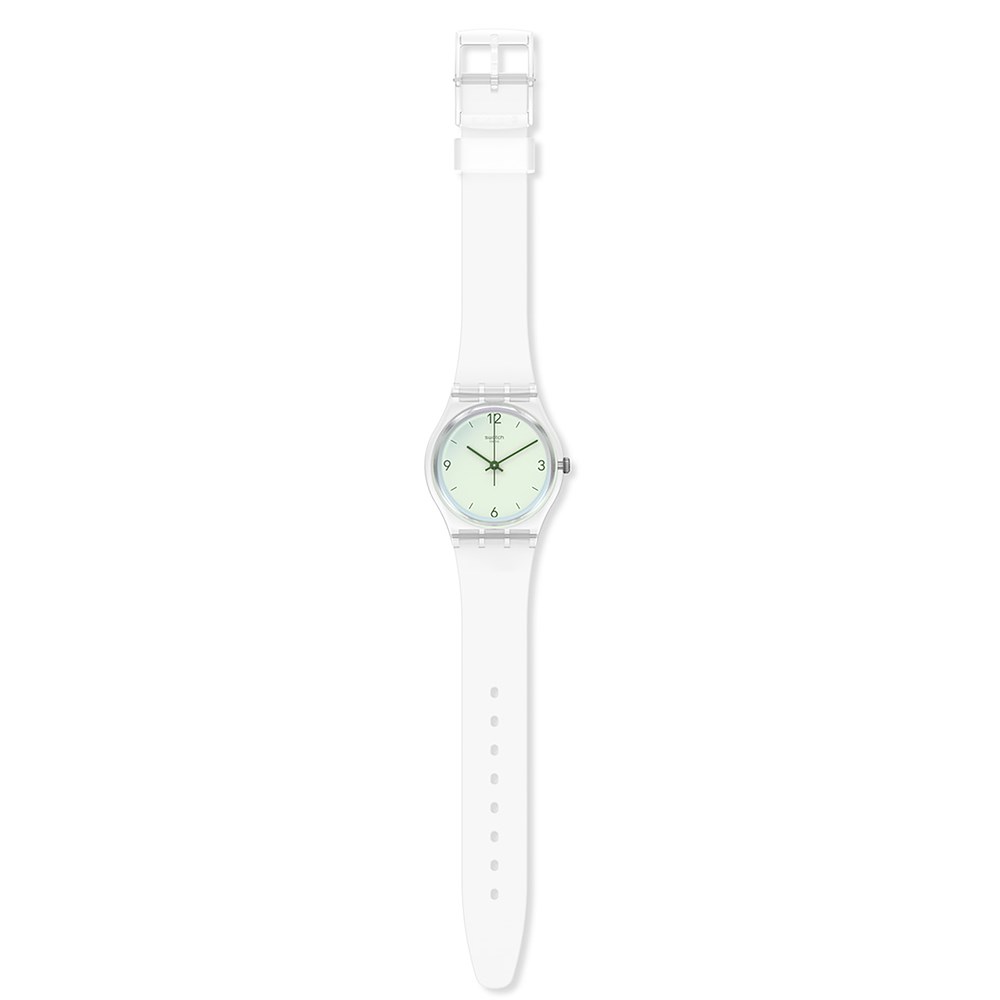 SWATCH SWAN LAKE_630fe022ad32a.jpeg