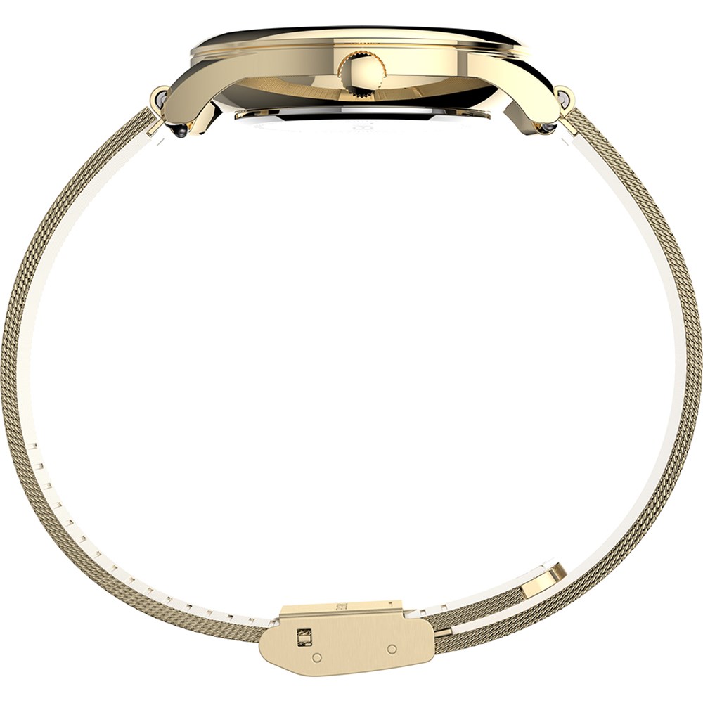 TIMEX CITY_630fdfbebcaeb.jpeg