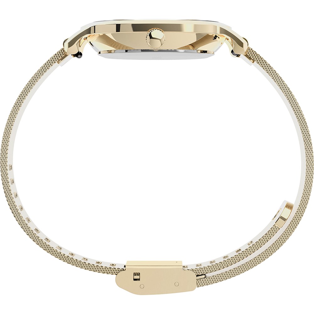 TIMEX TRANSCEND_630fdfc3e02de.jpeg