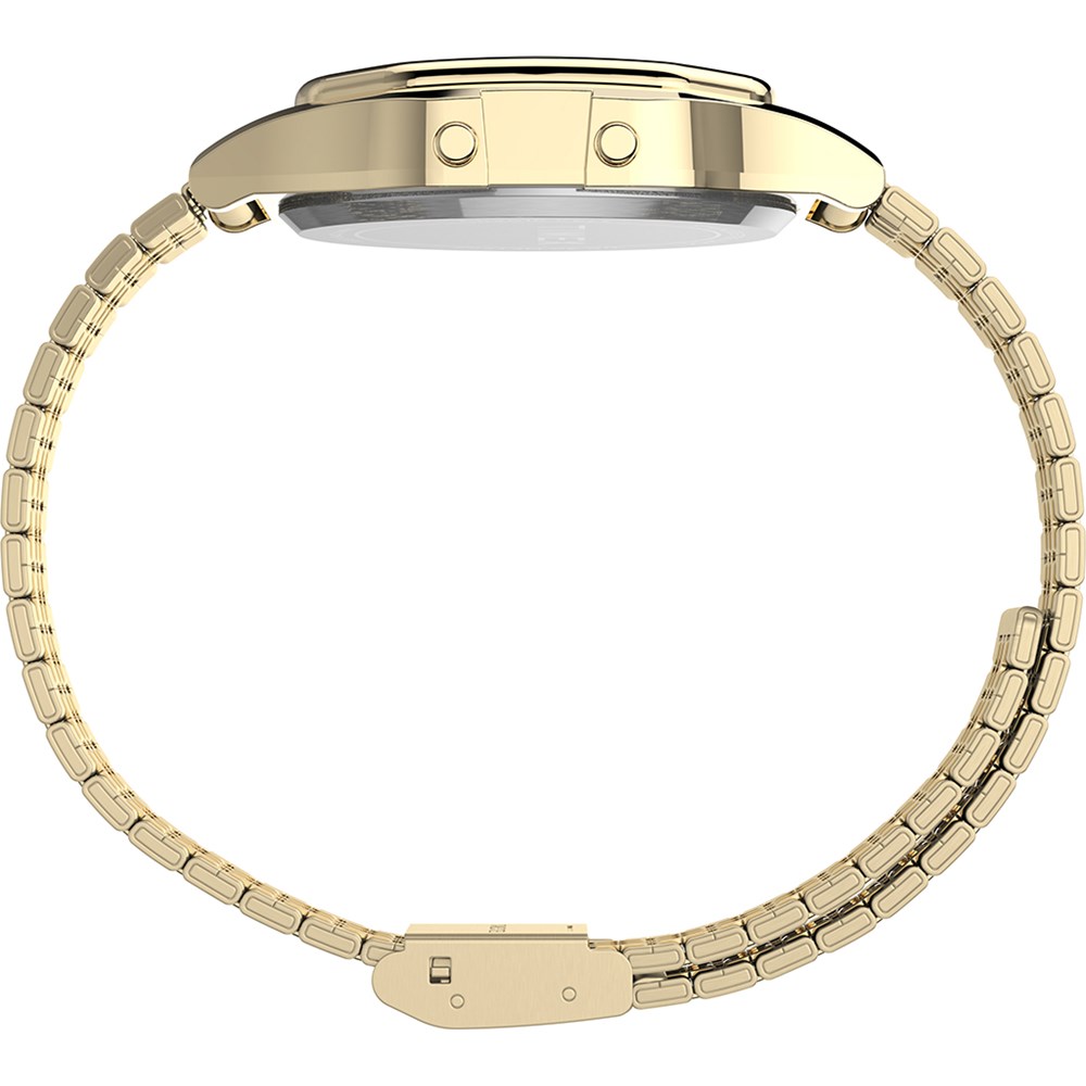 TIMEX Lab Archive_637fa5175d5ac.jpeg