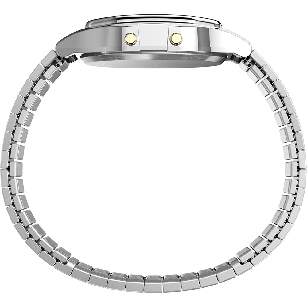 TIMEX Lab Archive_637fa51cae6bd.jpeg